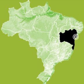 Corrida nas capitais Corrida nas capitais