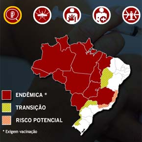 O risco da febre amarela