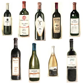 Degustação vertical: mesmo vinho, diversas safras