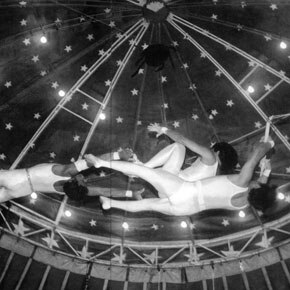 História do circo em São Paulo História do circo em São Paulo