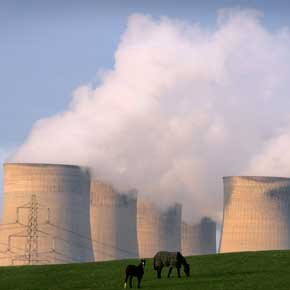 O leilão de créditos de carbono 
