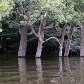 Pobreza reina na área mais protegida do Pará