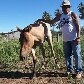 Dono faz campanha para ajudar égua de 3 patas