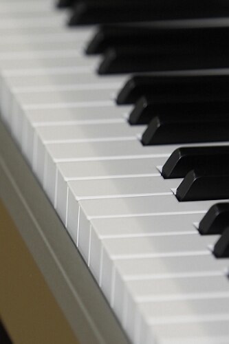 Dicas básicas para comprar seu primeiro instrumento musical