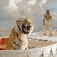Veja quais são os principais indicados ao Oscar 2013