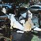 Destroços da aeronave logo após a queda no Shopping Flamboyant Destroços da aeronave logo após a queda no Shopping Flamboyant