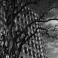 Exposição Horacio Coppola e Hildegard Rosenthal: fotógrafos que registraram SP e Buenos Aires