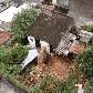 Casa desaba durante chuva e deixa vitíma fatal no bairro de Pompéia, em São Paulo. 21/01/2010 
