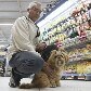 Como ter sucesso com pet shop