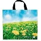 Supermercados deixam de dar sacolas de plástico