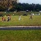 A ONG Rio da Paz optou por retirar o restante das vassouras do gramado A ONG Rio da Paz optou por retirar o restante das vassouras do gramado