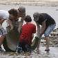 Mãe e filhos removem fragmentos da explosão da plataforma do Golfo do México na praia de St. Louis Mãe e filhos removem fragmentos da explosão da plataforma do Golfo do México na praia de St. Louis
