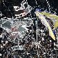 Torcida do Corinthians a caminho da final do Mundial