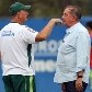Crises no Palmeiras em 2011 Crises no Palmeiras em 2011