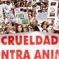 Manifestação contra maus-tratos a animais Manifestação contra maus-tratos a animais