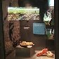 Mostra inédita traz ao Brasil parte do acervo do Museu Olímpico do COI Mostra inédita traz ao Brasil parte do acervo do Museu Olímpico do COI