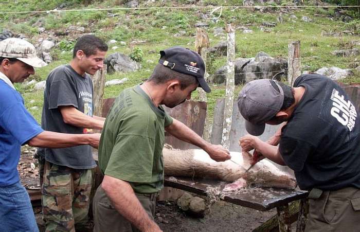Jaime Canaguaro e Ciro, os dois homens à esquerda na foto, ambos homens das Farc