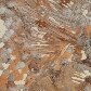 Greenpeace divulga fotos aéreas da construção da usina de Belo Monte 