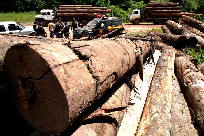 Operação Arco de Fogo contra o desmatamento na Amazônia