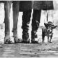 Foto de 1974, em Nova York, feita por Elliott Erwitt Foto de 1974, em Nova York, feita por Elliott Erwitt