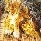 Os melhores momentos da primeira noite de carnaval no Rio de Janeiro