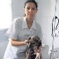 Veja casos de maus-tratos aos animais