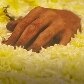 Para lembrar do dia do fotógrafo, profissionais escolhem foto que levariam para Marte Para lembrar do dia do fotógrafo, profissionais escolhem foto que levariam para Marte