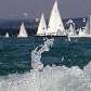 Corrida Blue Ribbon Regatta, de iates, ocorre no lago Balaton, ao oeste de Budapeste, Hungria