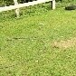 Relembre outros acidentes em parques pelo Brasil Relembre outros acidentes em parques pelo Brasil