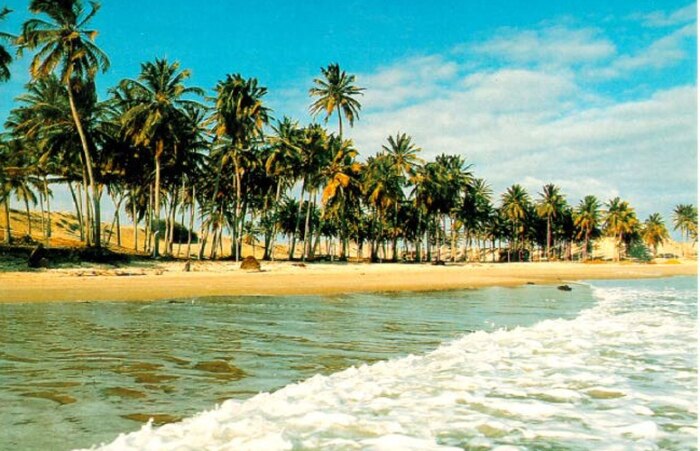 Réveillon: ainda dá tempo de viajar