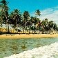 Réveillon: ainda dá tempo de viajar