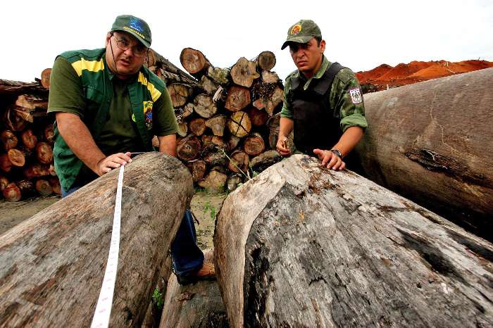 Pará realiza megaoperação contra o desmatamento