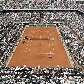 O estádio estava lotado para o duelo entre Nadal e Federer