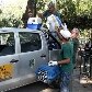 104 animais foram retirados do ZooNit, como jabutis, araras, macacos-prego, corujas e o leão Dengo 104 animais foram retirados do ZooNit, como jabutis, araras, macacos-prego, corujas e o leão Dengo