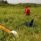 Confira imagens do helicóptero que fez pouso forçado em SP Confira imagens do helicóptero que fez pouso forçado em SP