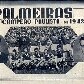 De Palestra Itália a Sociedade Esportiva Palmeiras: 70 anos da mudança de nome