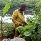Frutas e legumes às margens do Rio Tietê