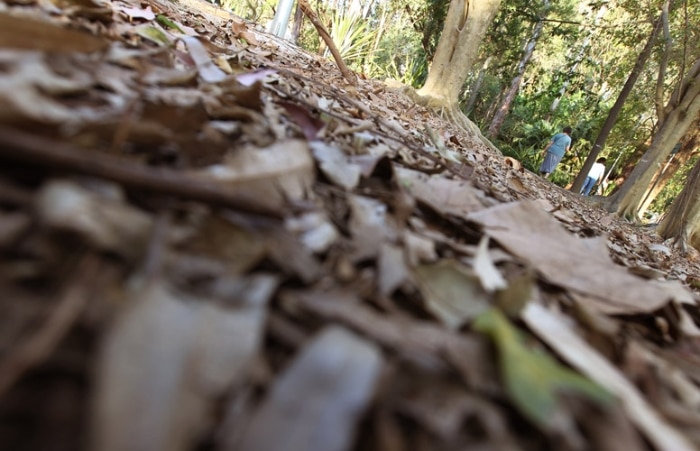 Clima seco impede também que pastos cresçam 