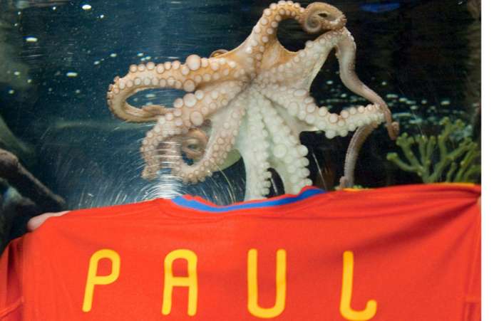 Oráculo da Copa 2010, Paul, o polvo, é nomeado o amigo favorito da cidade de Carballino, Espanha
