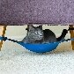 Marca lança rede para soneca de gatos