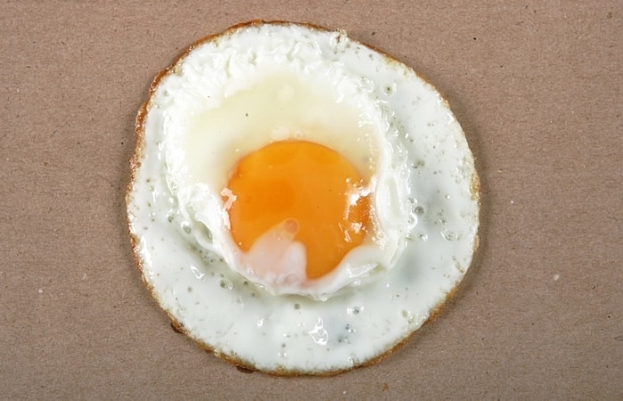 Os diferentes sabores dos ovos e dos frangos