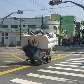 Carroceiro atravessando  com sofá na caçamba a avenida Goiás, em São Caetano do Sul.  22/10/2010 