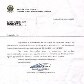 Dono faz campanha para ajudar égua de 3 patas