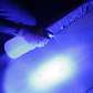 Polícia utiliza luminol para encontrar rastros de sangue, em Vespasiano, MG Polícia utiliza luminol para encontrar rastros de sangue, em Vespasiano, MG