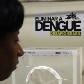 Entenda como o mosquito criado em laboratório não transmite dengue 