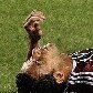 Fluminense recebe o Boca no Engenhão pela Copa Libertadores da América Fluminense recebe o Boca no Engenhão pela Copa Libertadores da América