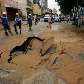 Adutora rompe na zona oeste