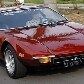 Dono do Pantera 1972 afirma que gosta de usar o veículo no dia a dia