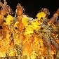 Os melhores momentos da primeira noite de carnaval no Rio de Janeiro