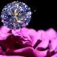 Diamante de 79 quilates Diamante de 79 quilates